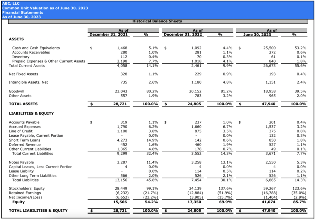 409a report sample section 10