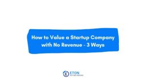 How to Value a Startup Company with No Revenue - 3 Ways