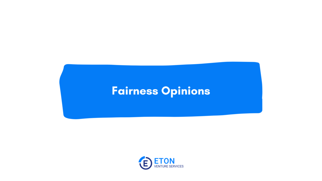 Fairness Opinion Services