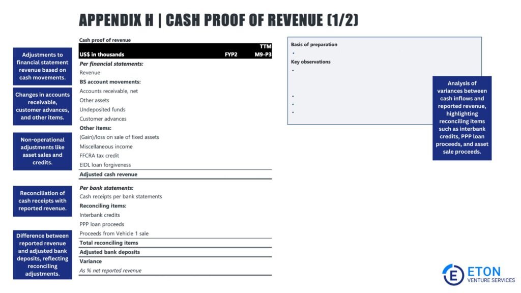 Cash Flow Assessment - Quality of Earnings Report